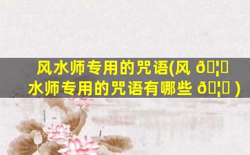 风水师专用的咒语(风 🦆 水师专用的咒语有哪些 🦈 )